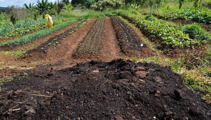 Efeitos negativos de produção de alimentos é quase 10% do PIB global